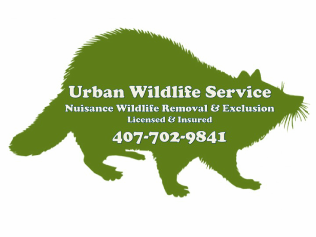 Urban Wildlife Service - Nuisance wildlife and animal control and removal in Orlando